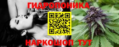 ешки Рязань